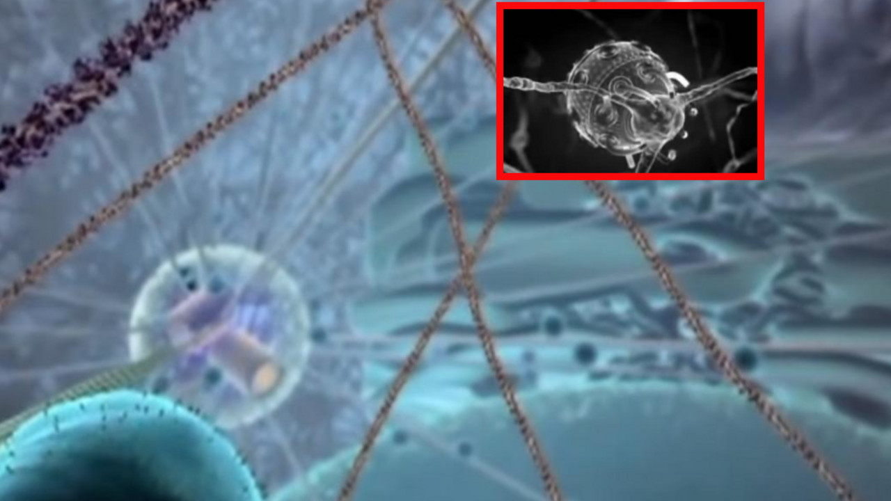 Nanorobot