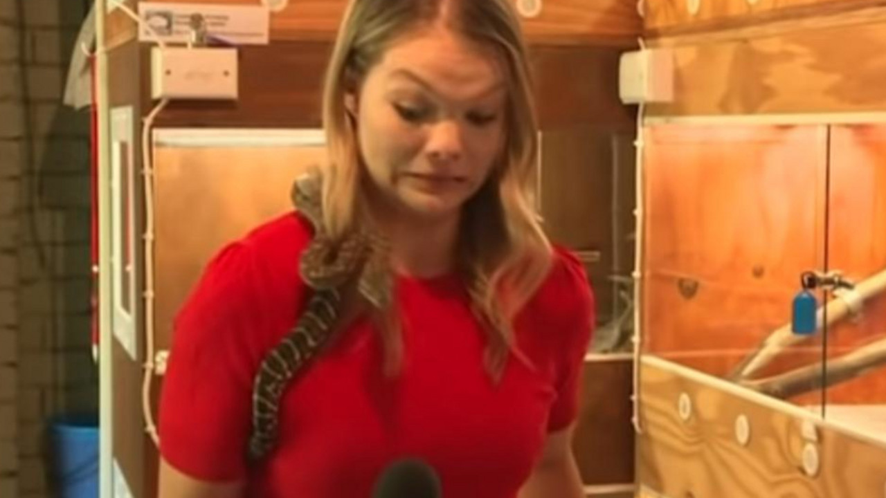 Australijska novinarka