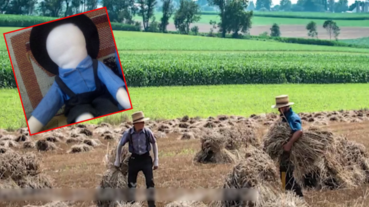 Amiši