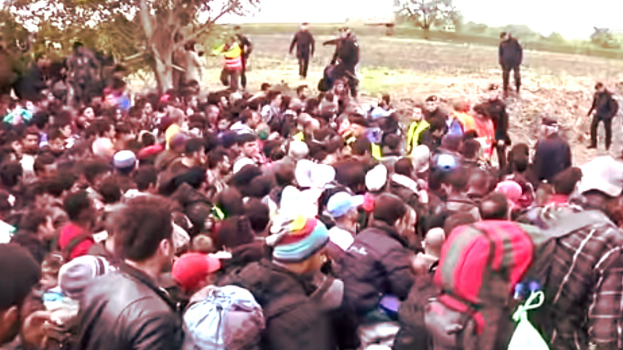 migranti