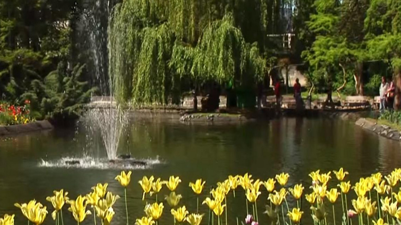 Dunavski park, Novi Sad
