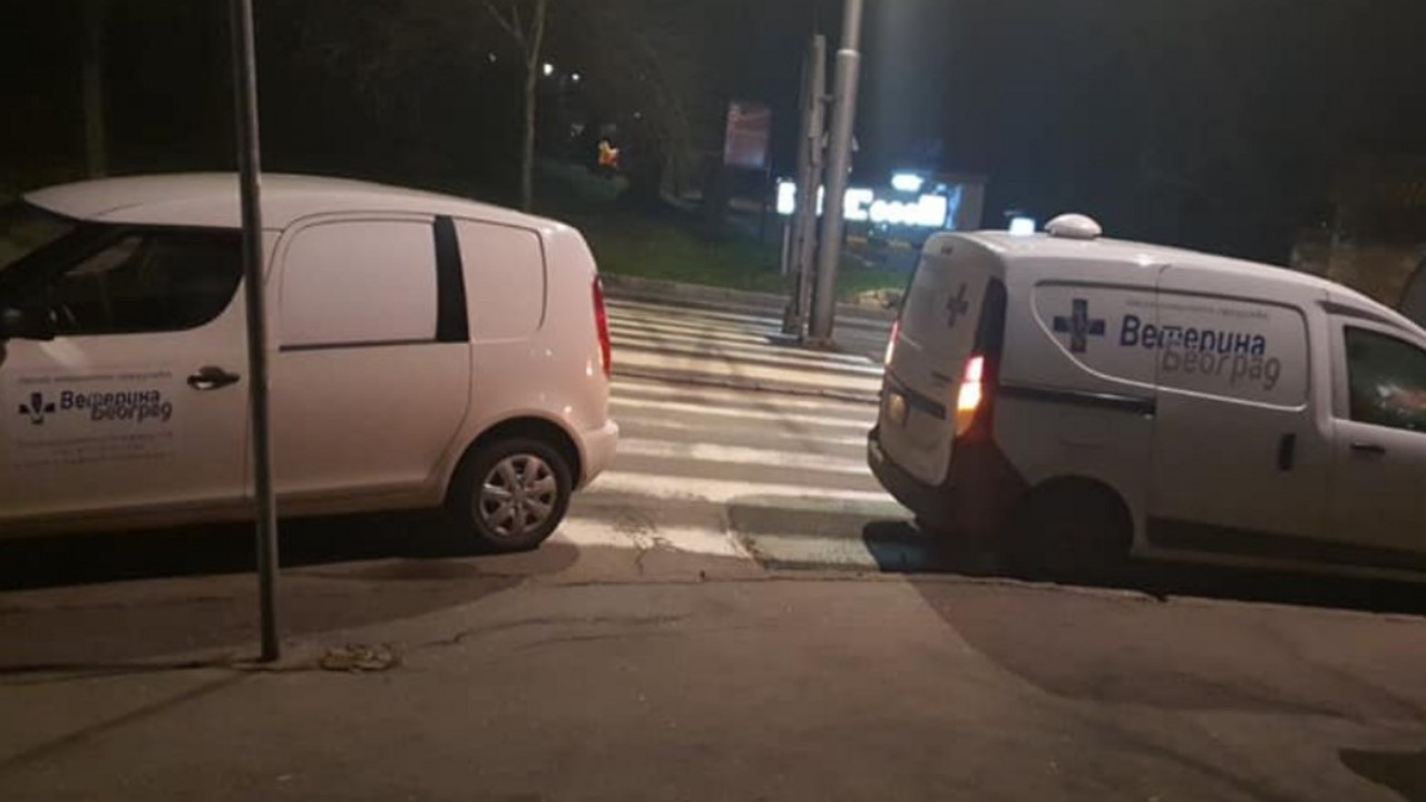 Veterina, Beograd