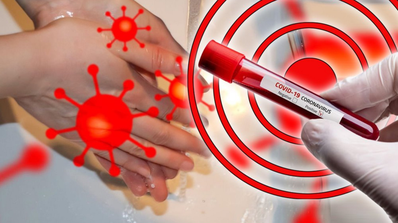 koronavirus
