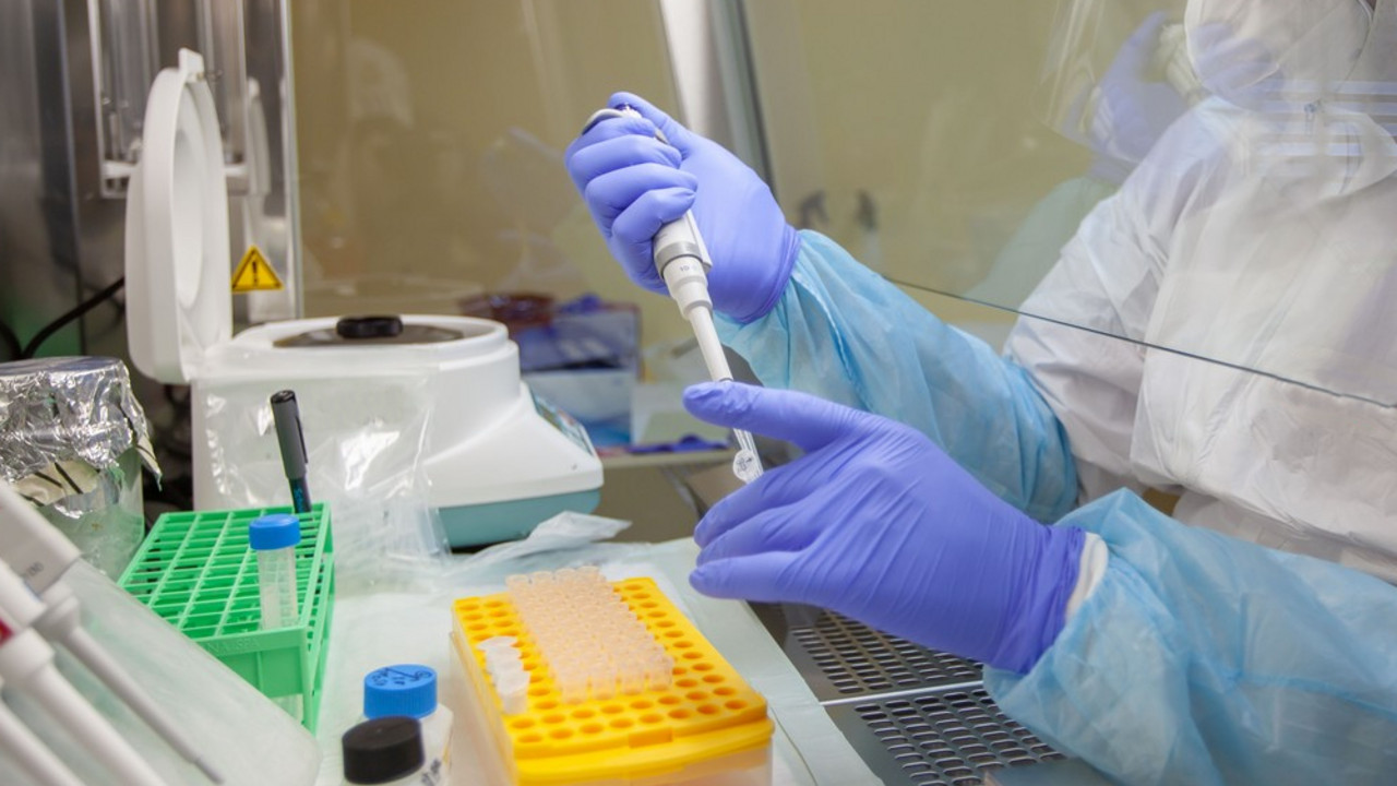 korona virus