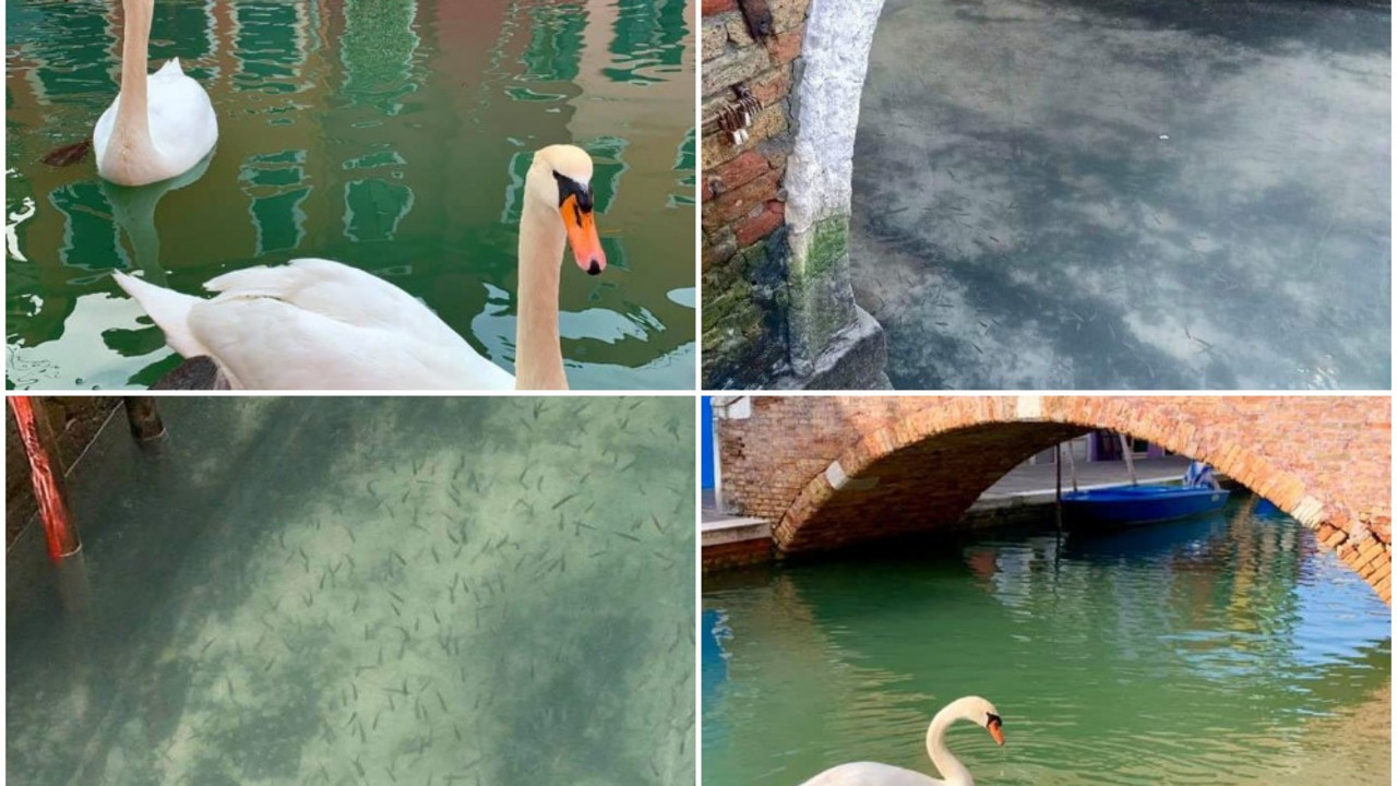 Venecija