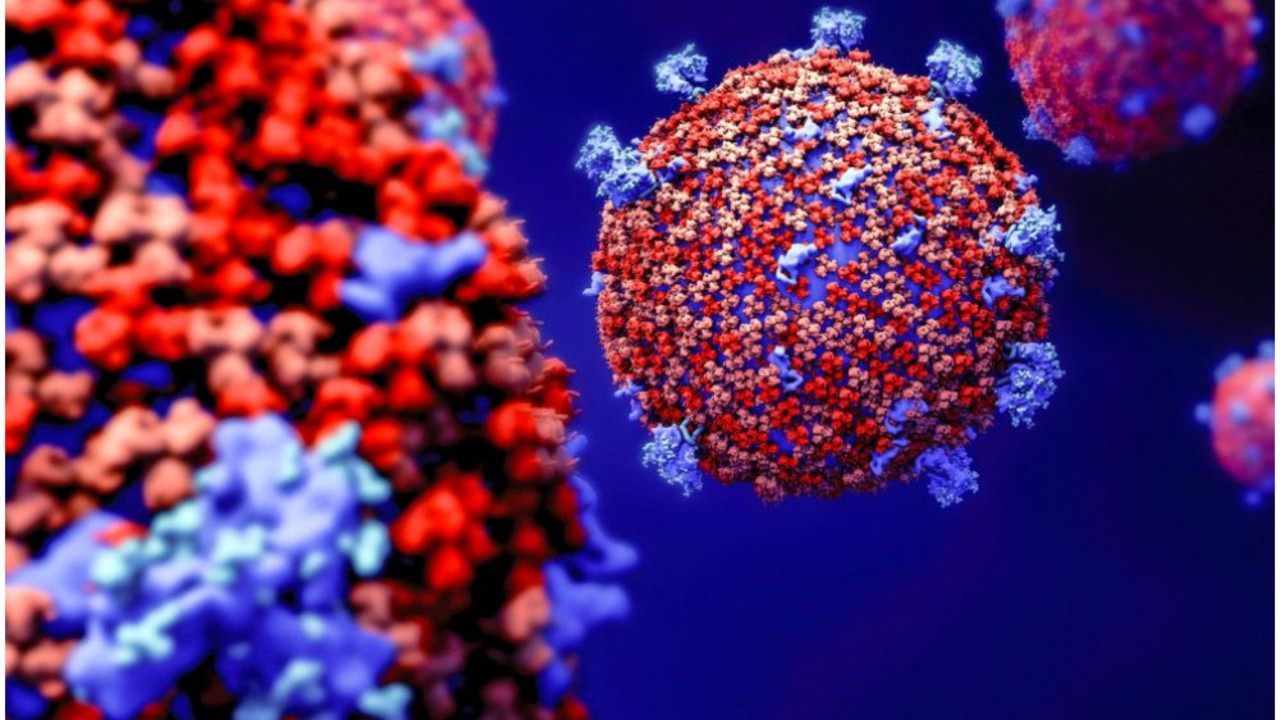 korona virus
