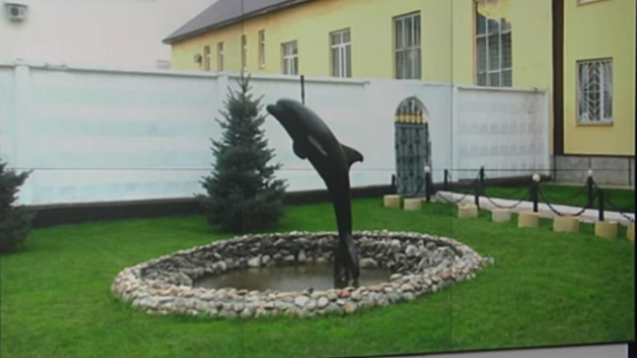 Zatvor crni delfin