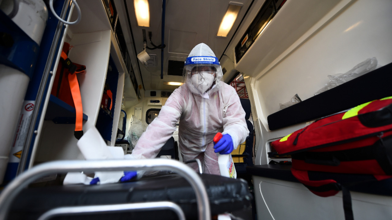 korona virus