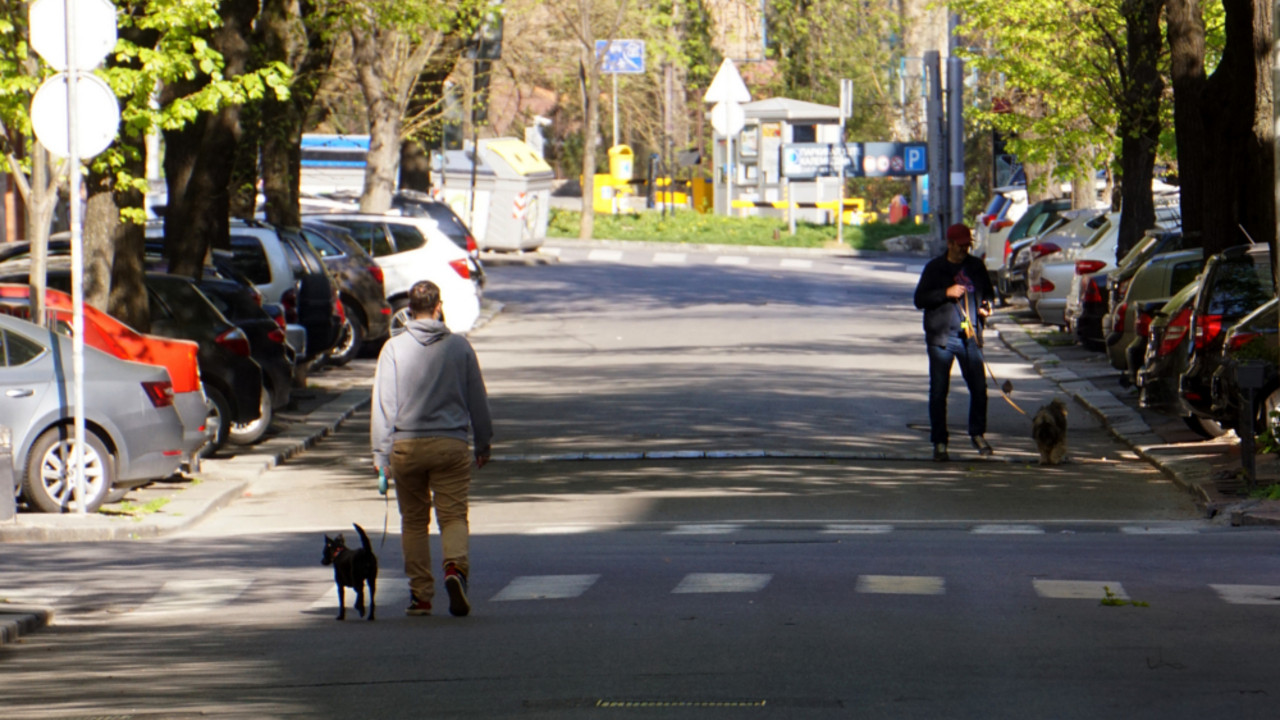 Beograd
