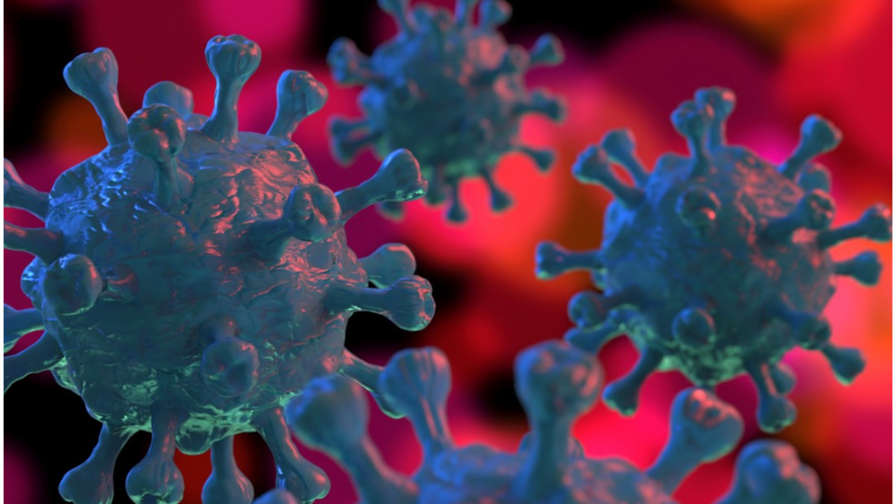 korona virus