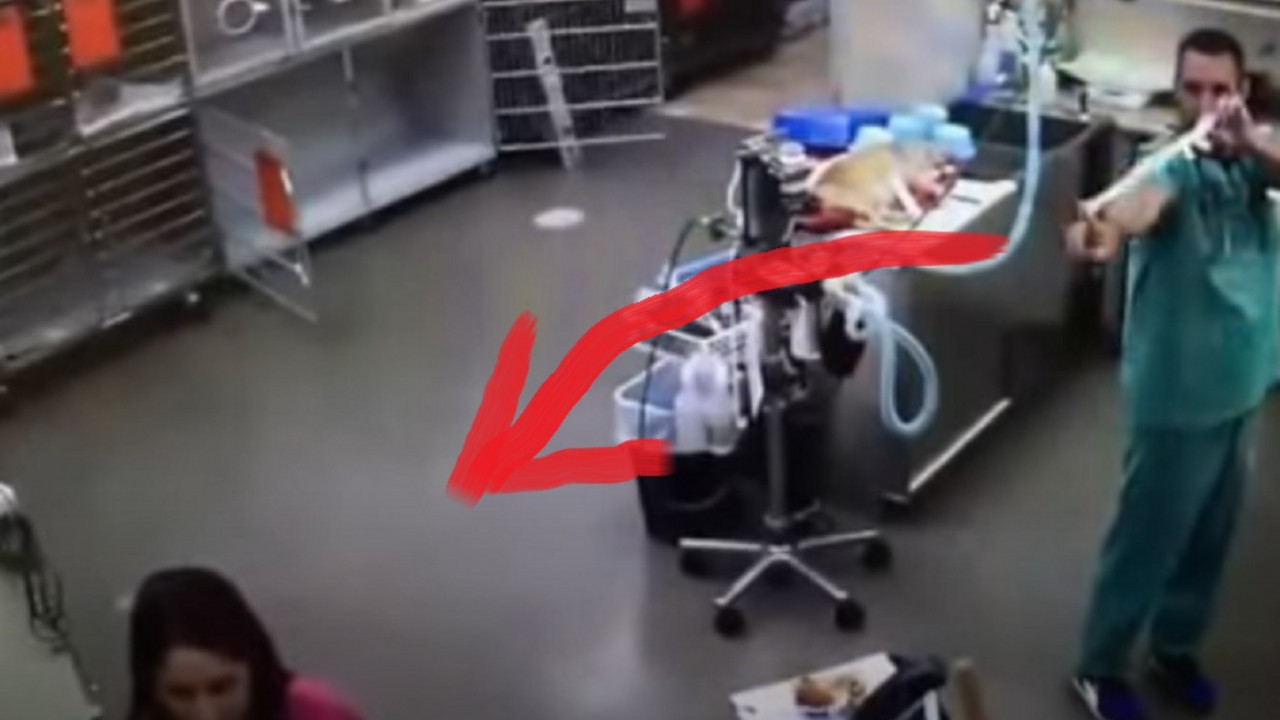 Lekar i medicinska sestra