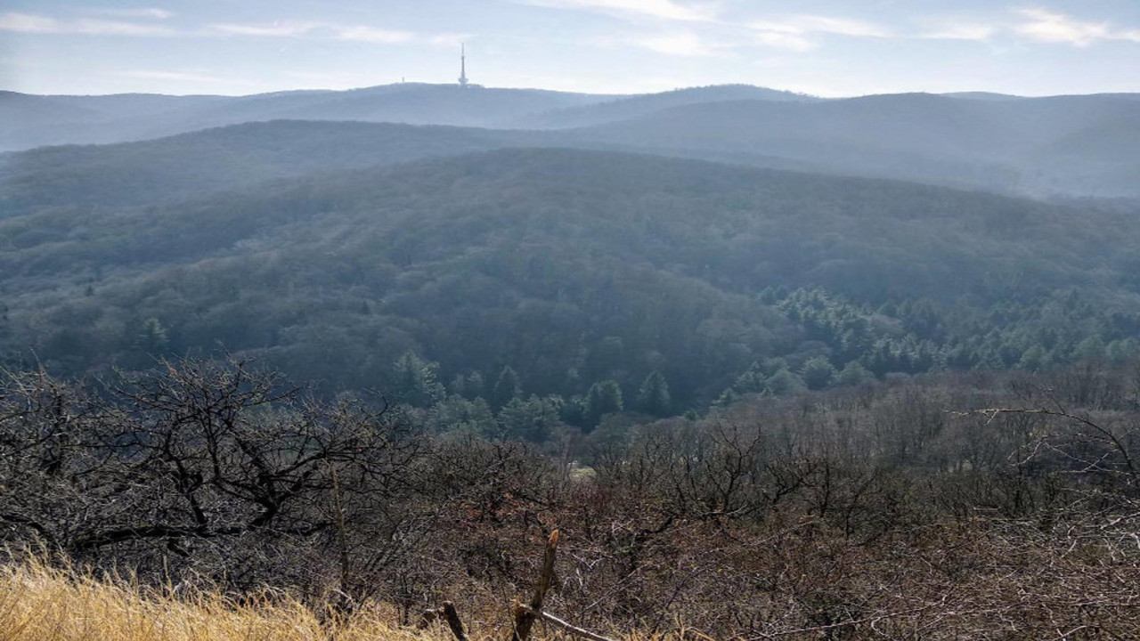 Fruška Gora
