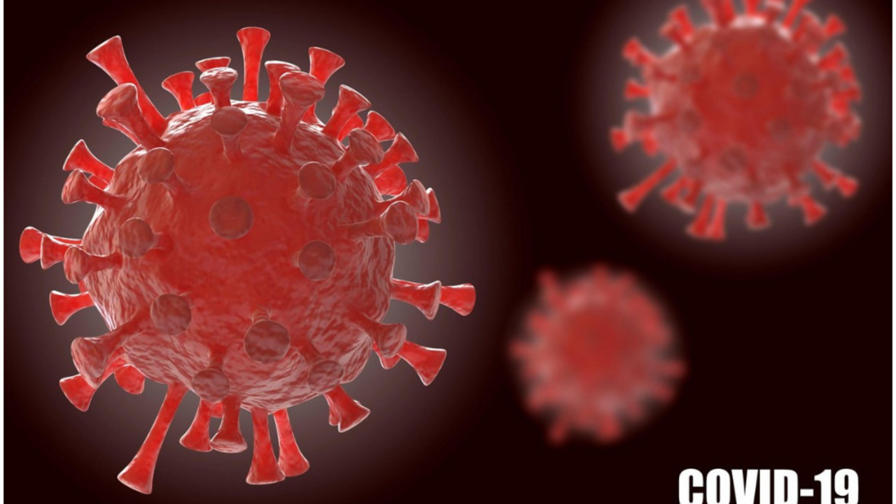 korona virus