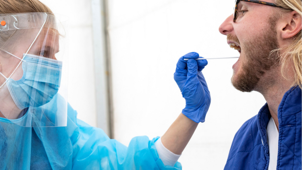korona virus