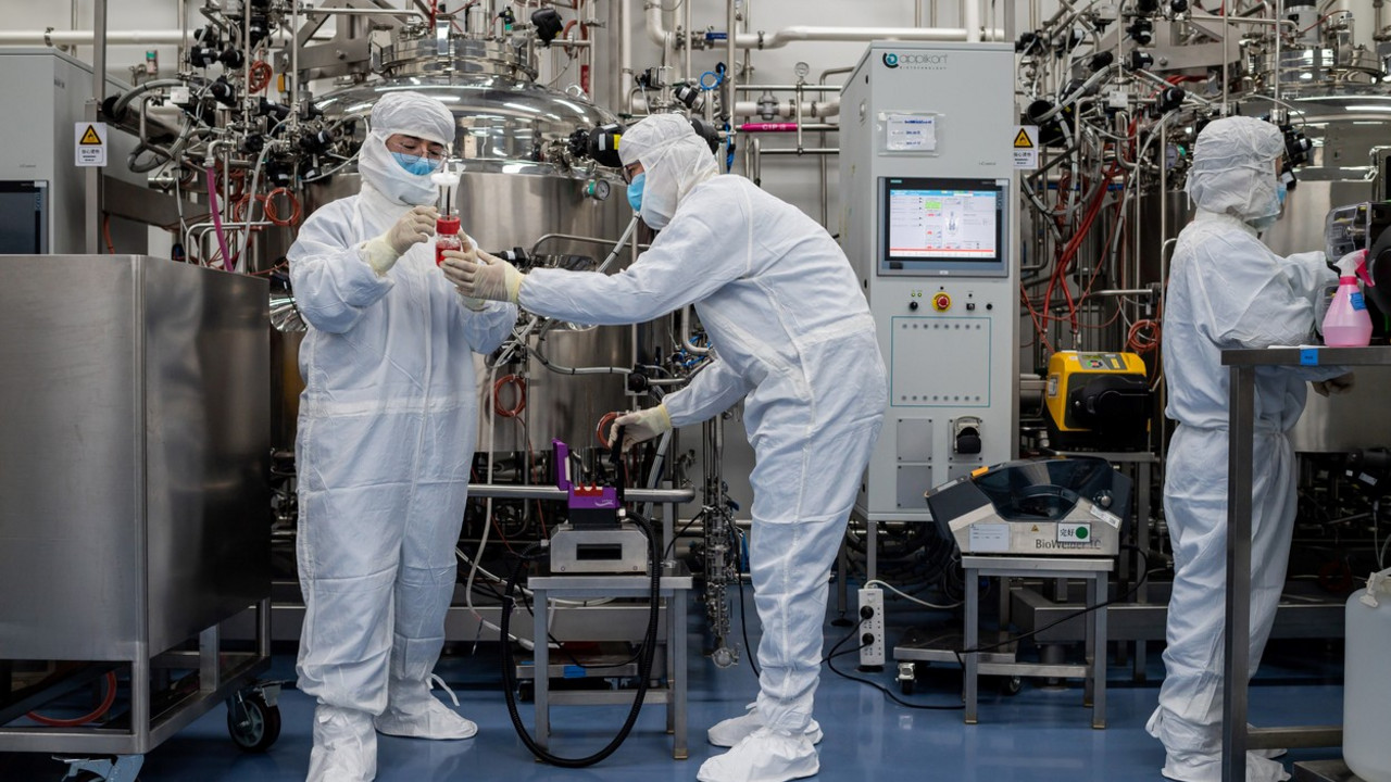 korona virus