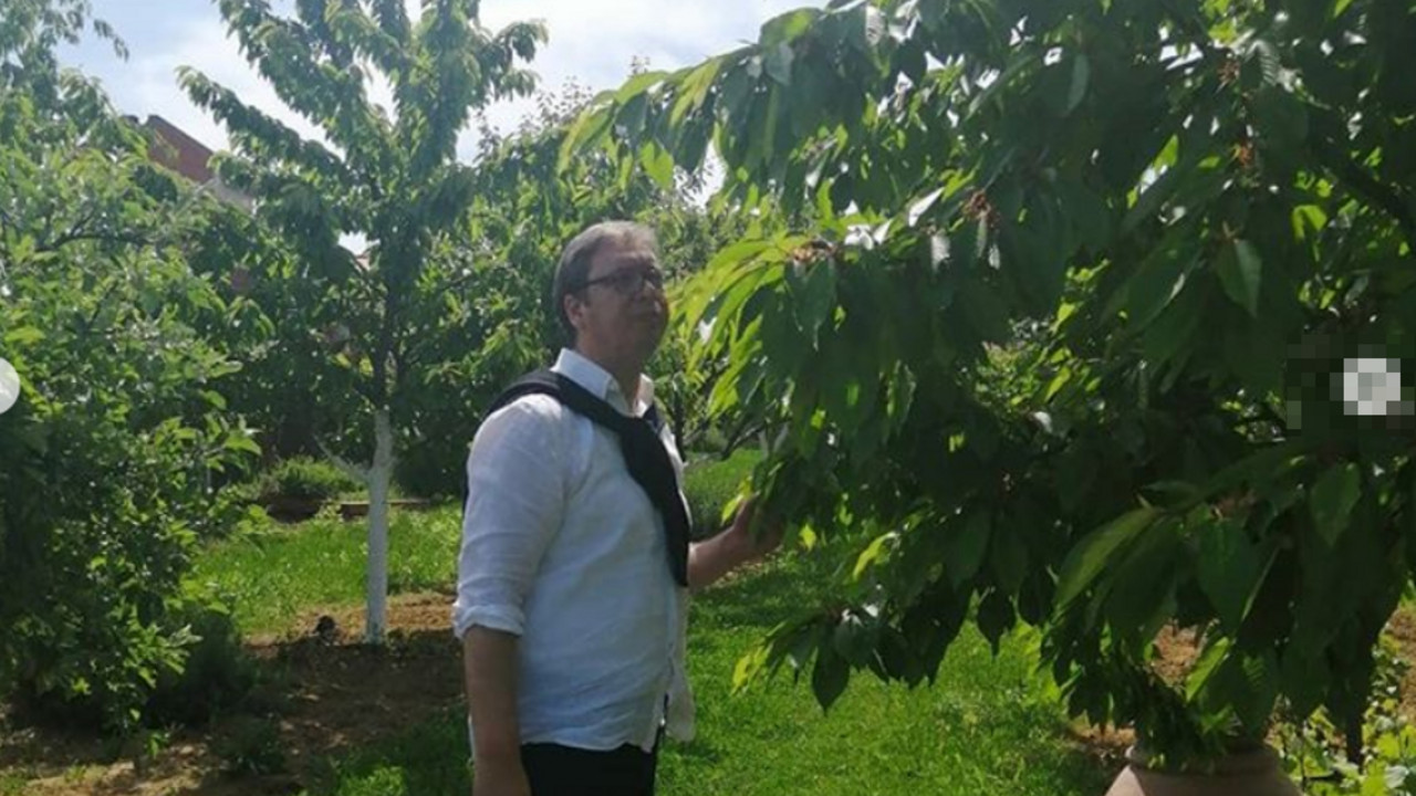 Aleksandar Vučić