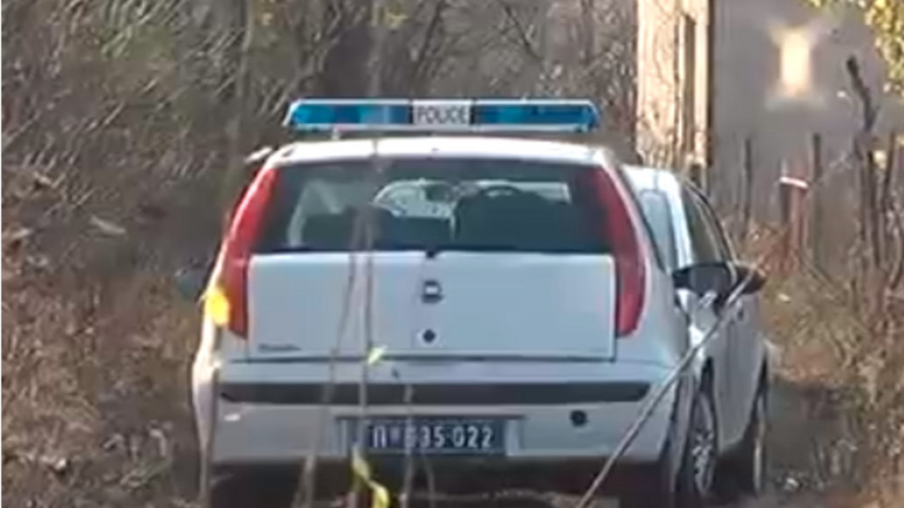 Ubistvo Igora Ilica