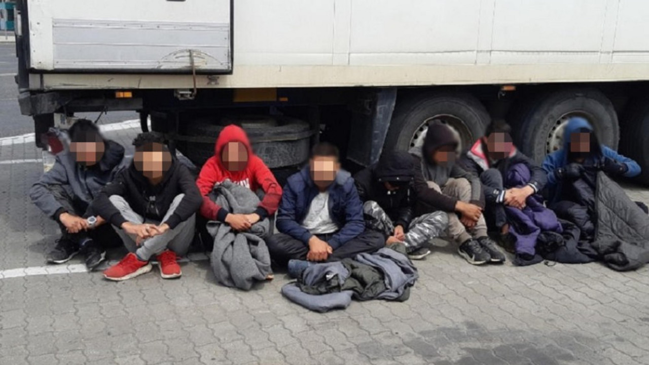 migranti