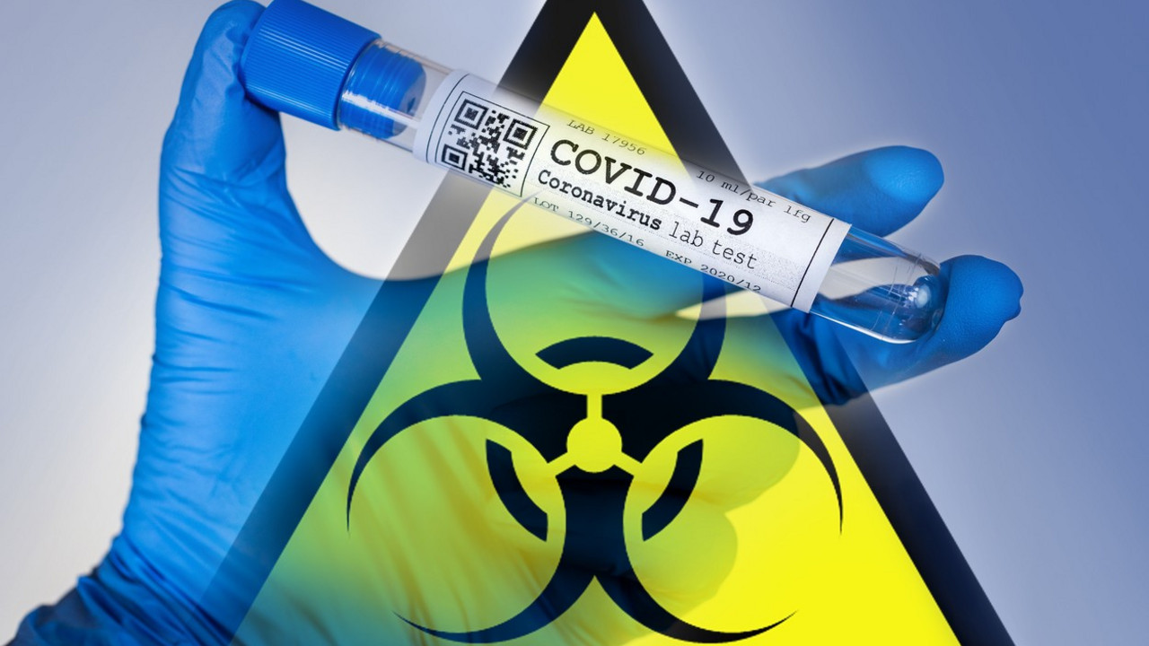 korona virus