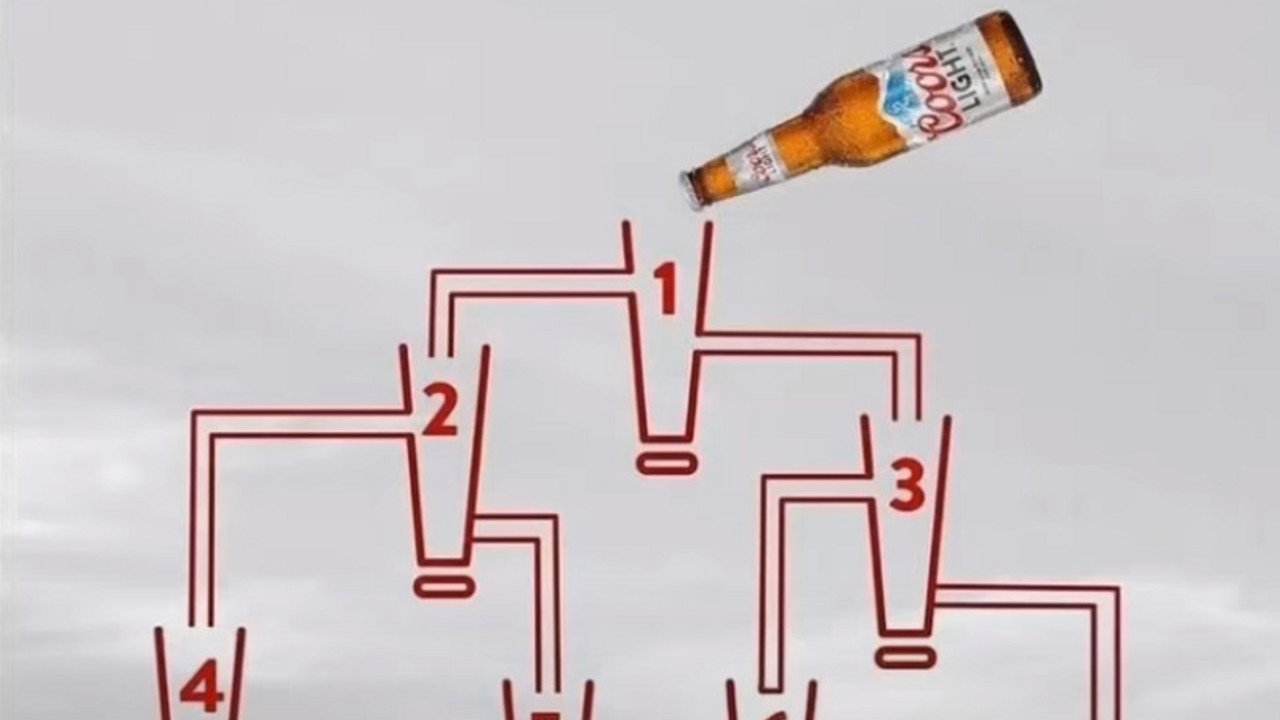 Čaše