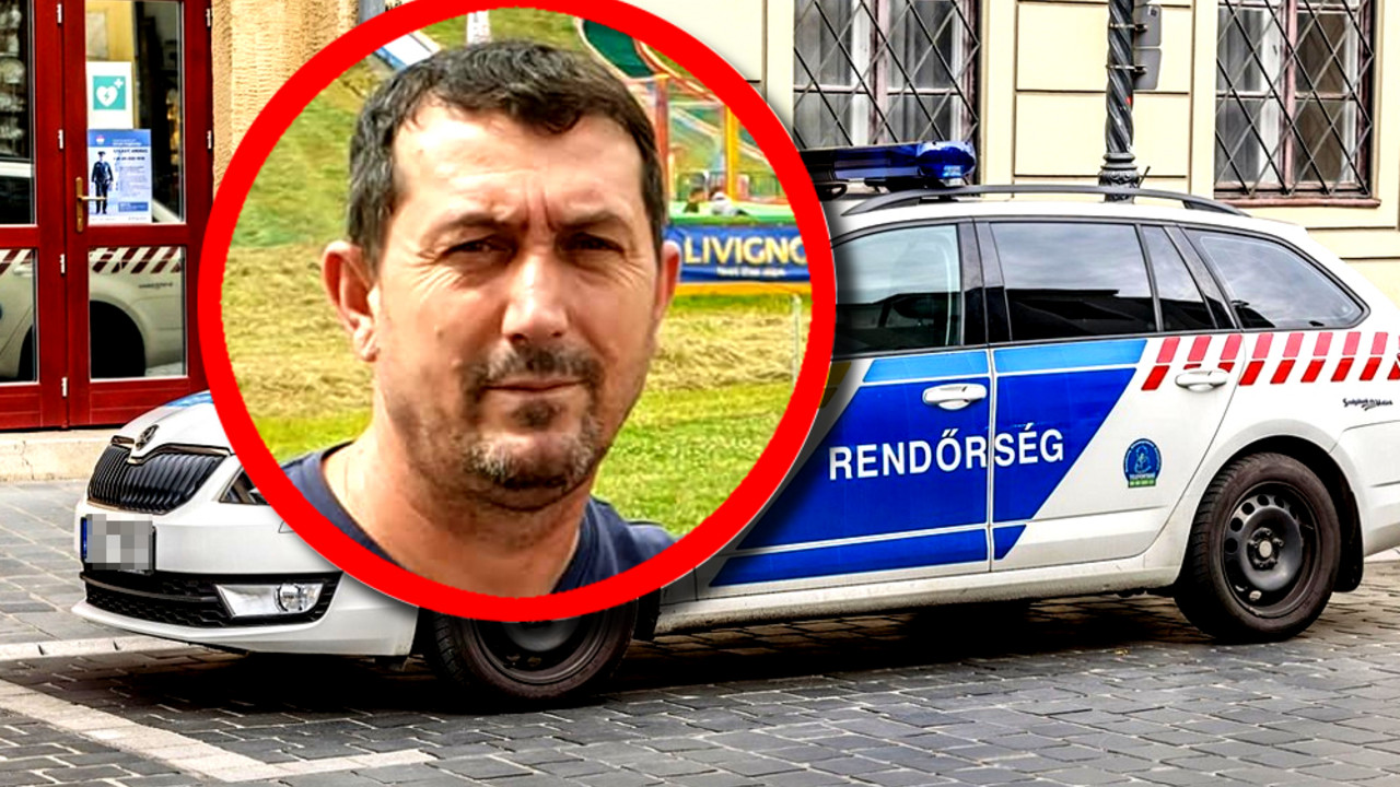 Ljubiša Manitašević