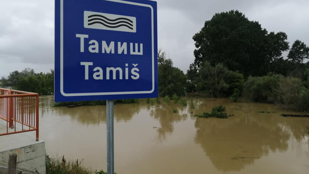 Tamiš