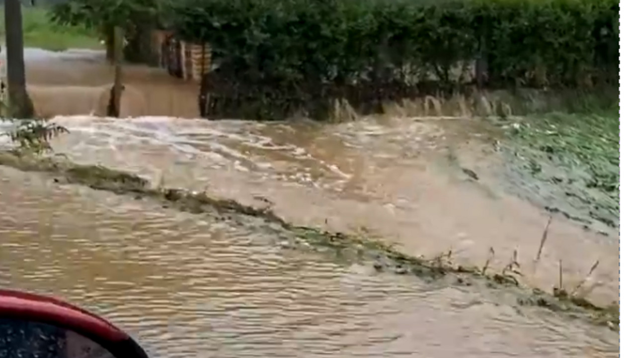 poplave