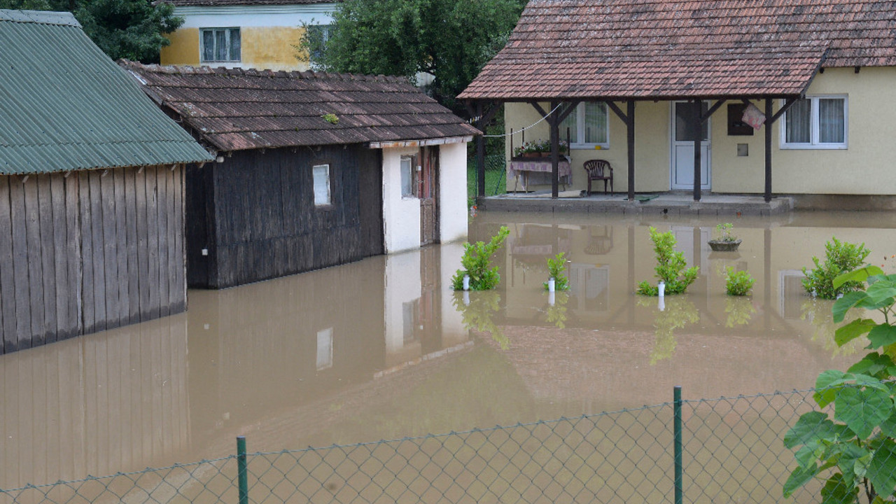 Foto: Tanjug/RADE PRELIC