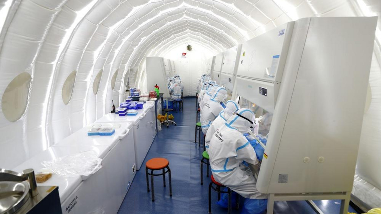 korona virus 
