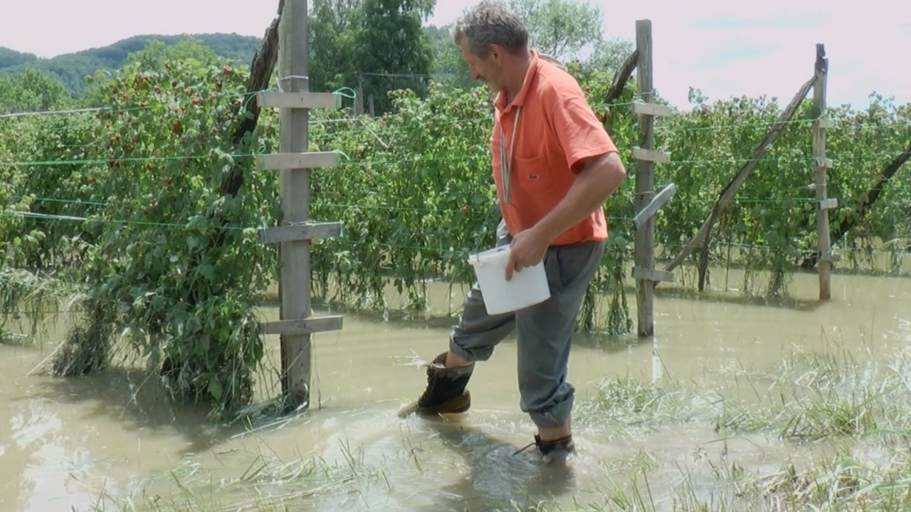 Arilje