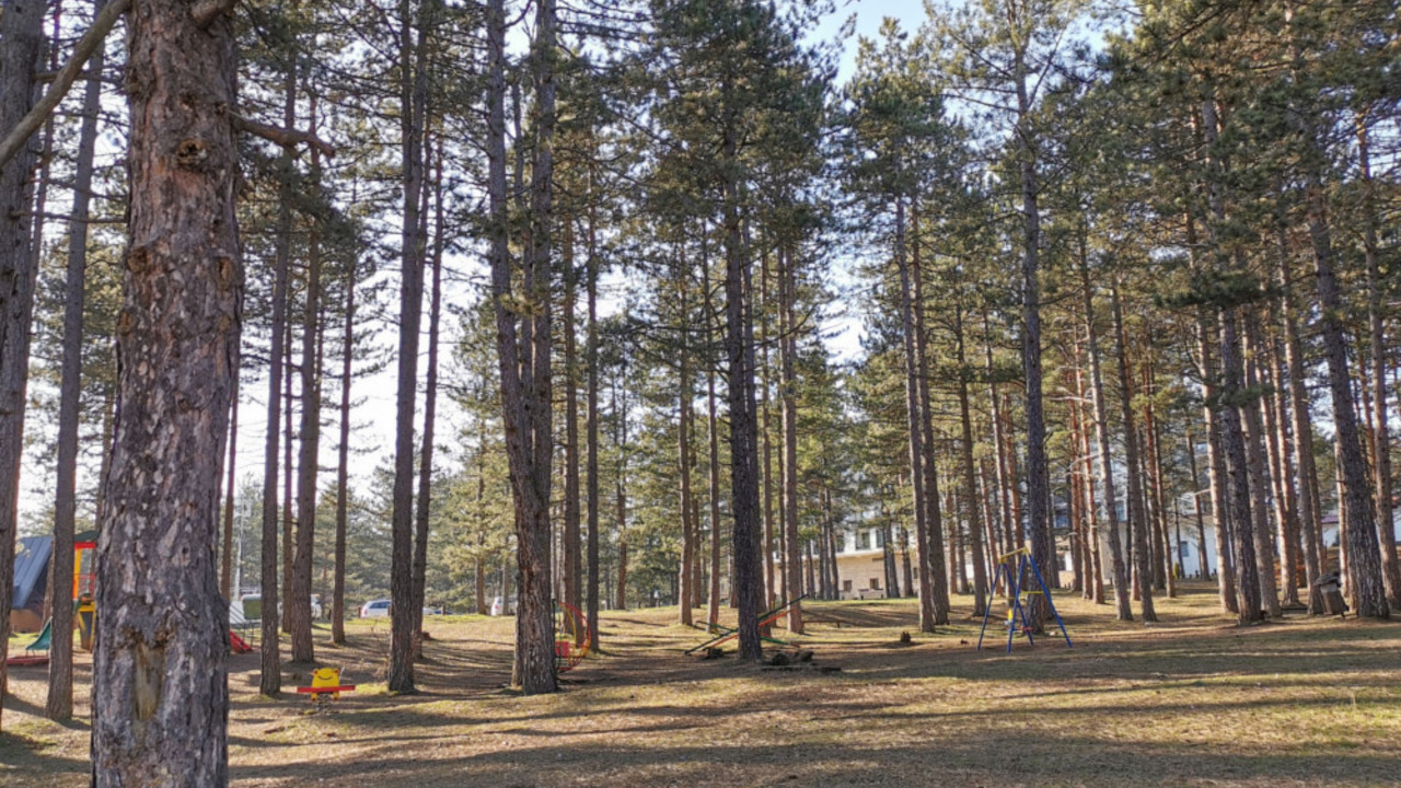 Zlatibor