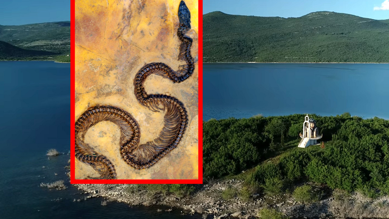 Bileća