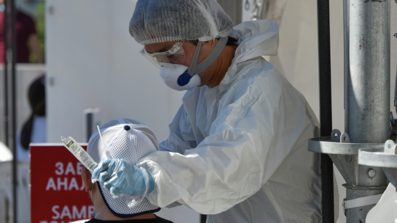 korona virus