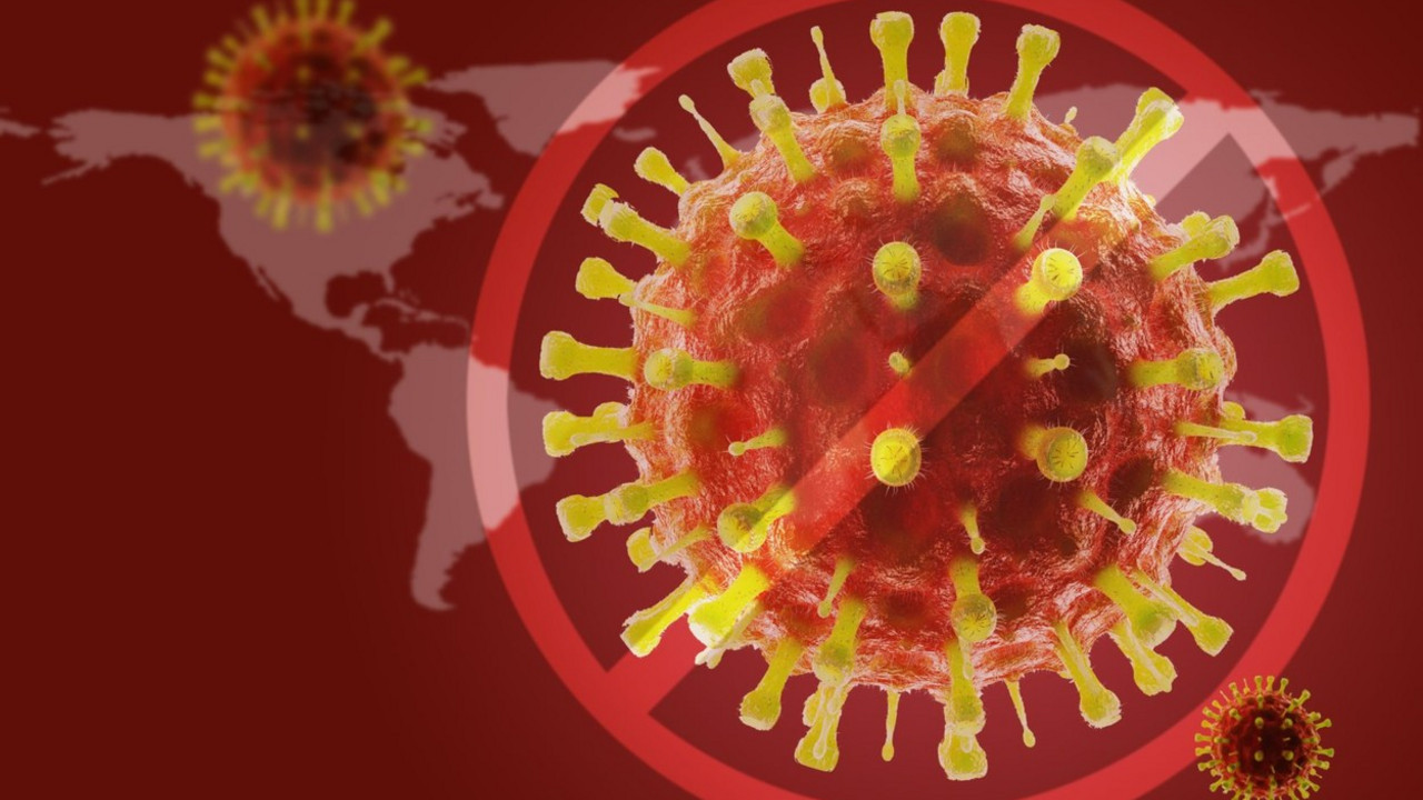 korona virus