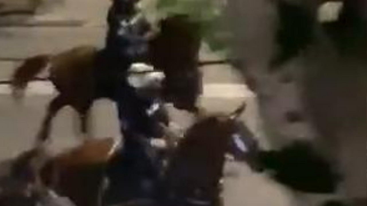 Konjička jedinica policije