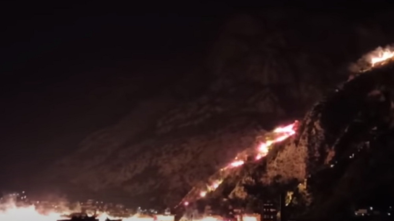 Kotor
