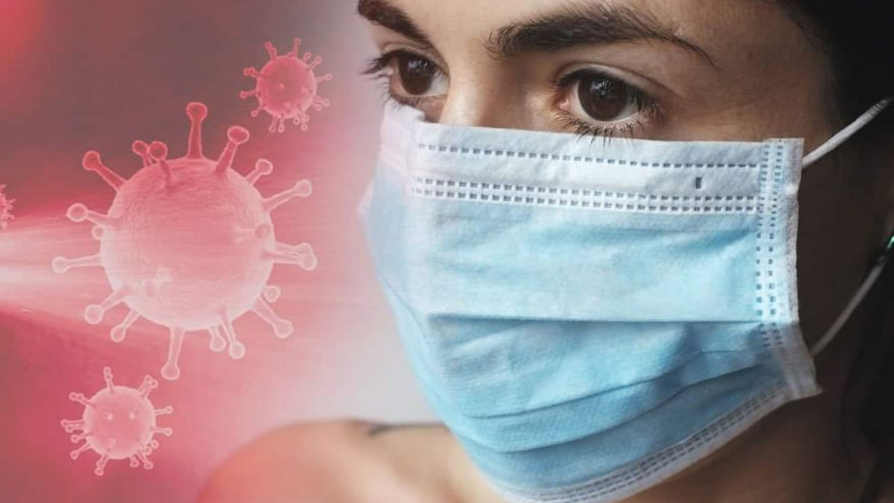 korona virus