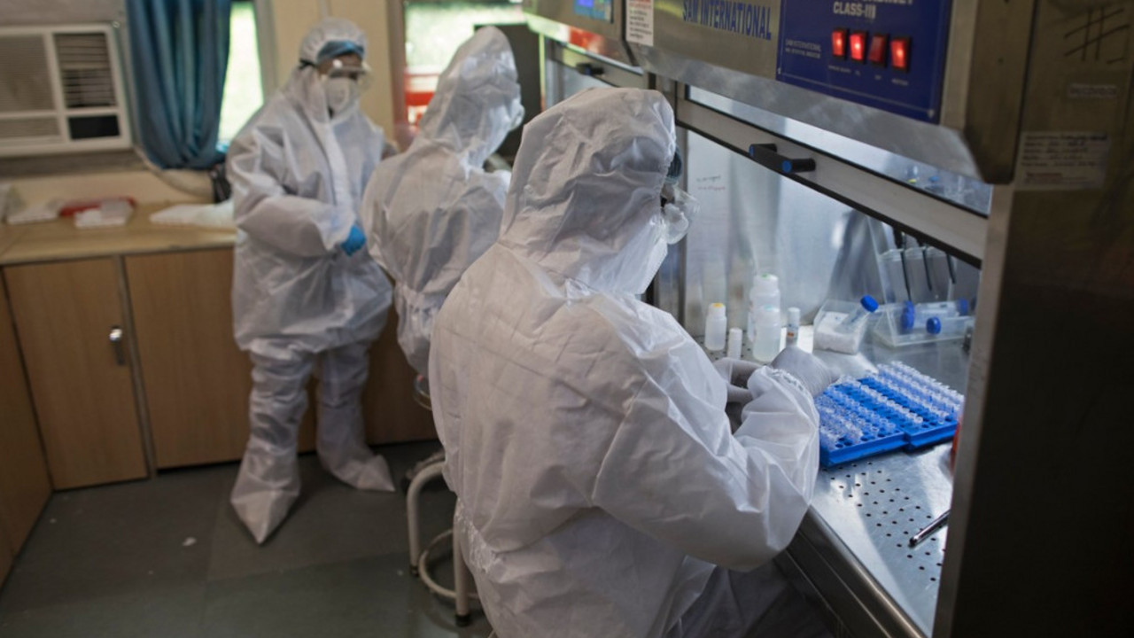 Korona virus
