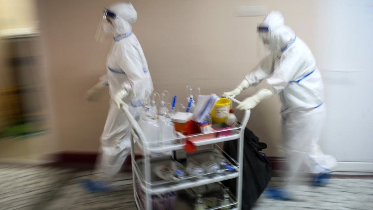 korona virus