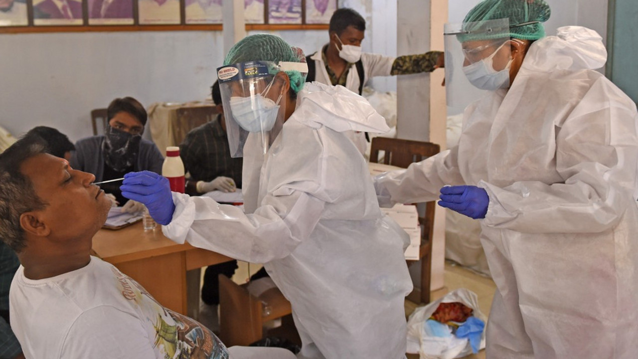 korona virus