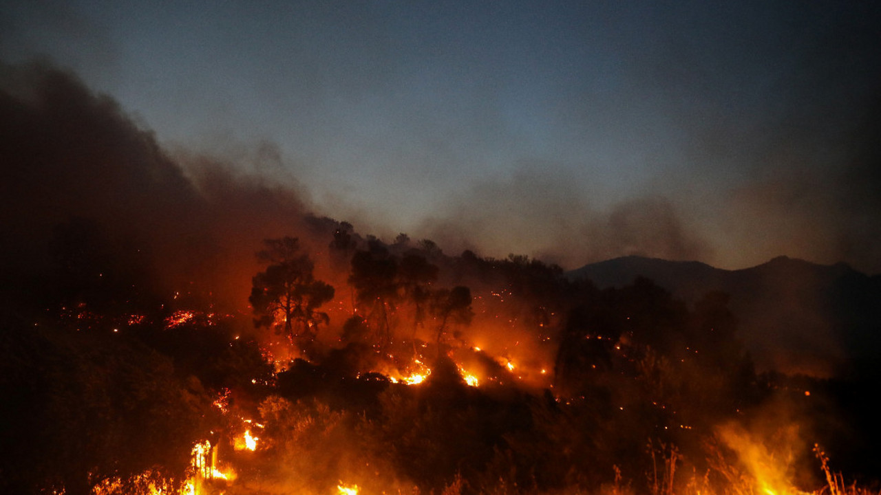Foto: Reuters