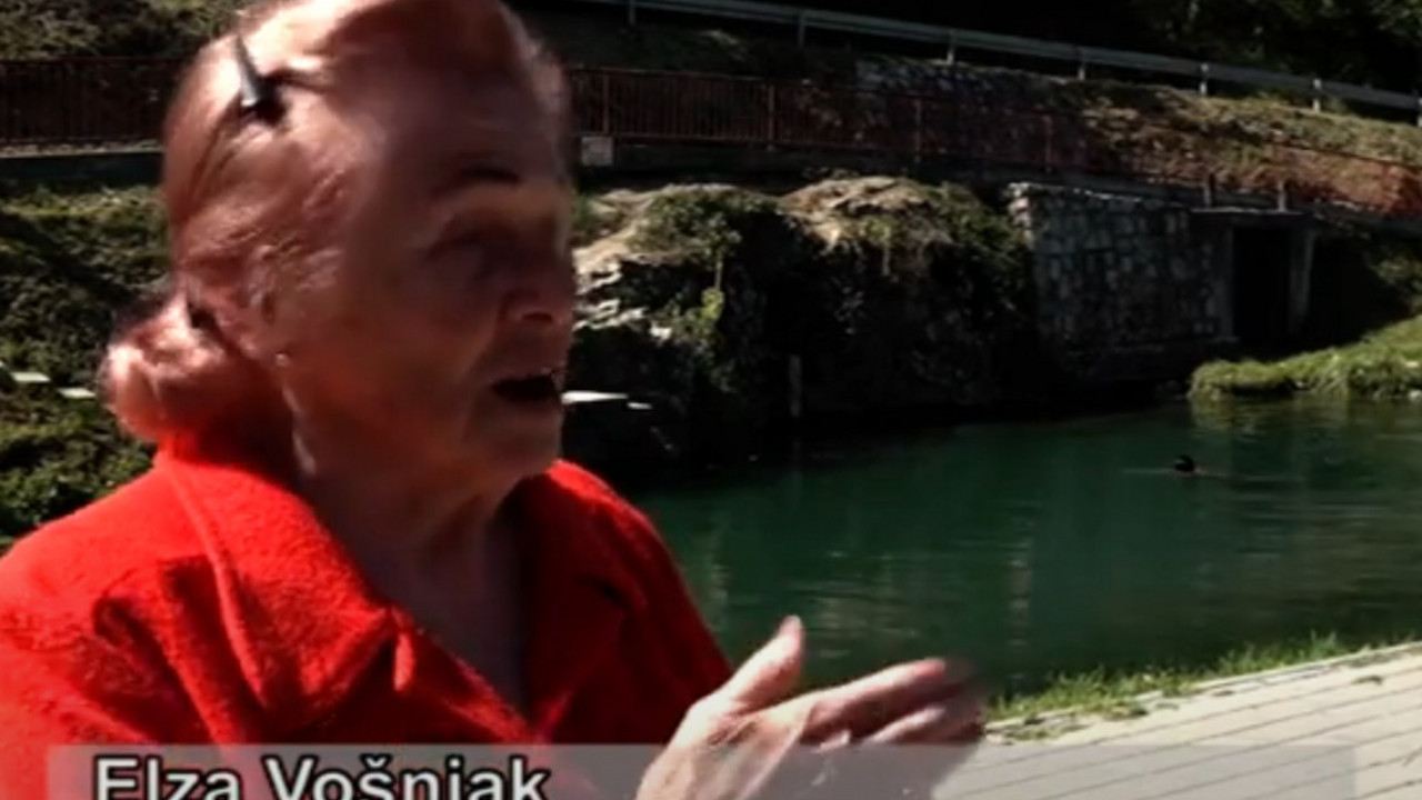 Elza Vošnjak