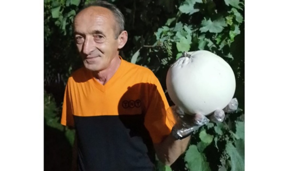 Sreten Zimonjić