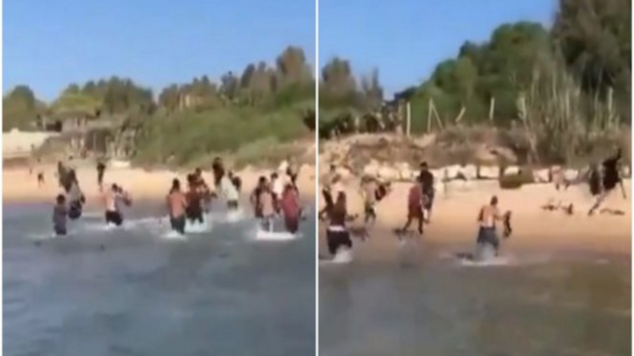 migranti