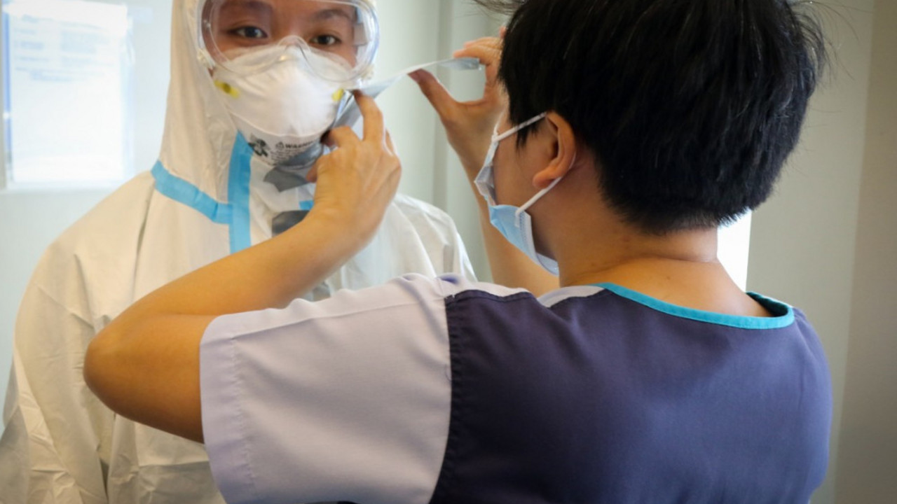korona virus