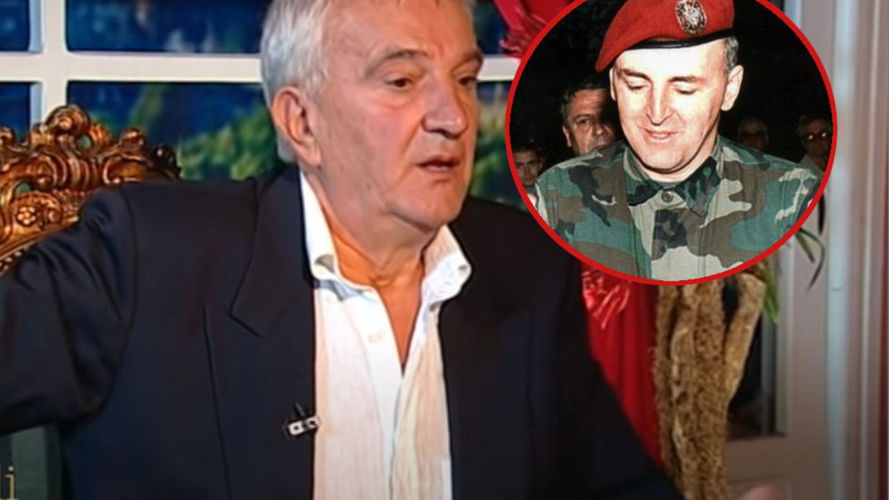 Pavlović i Ražnatović