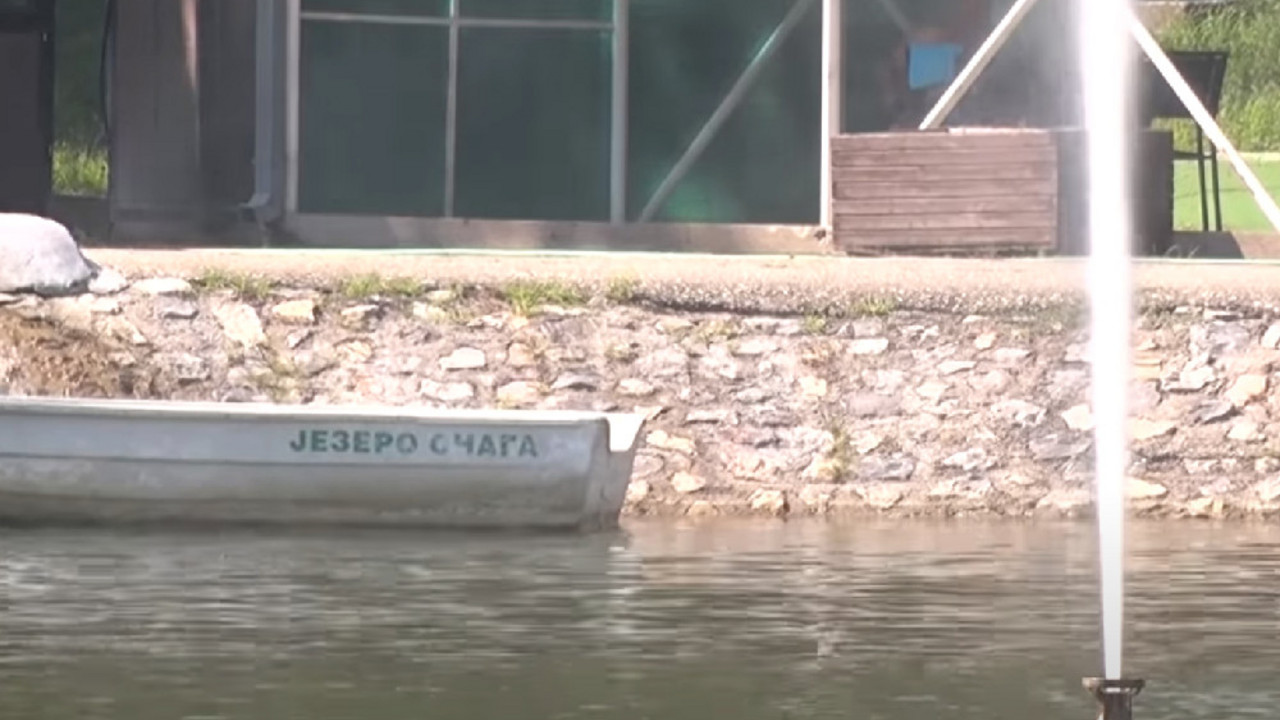Foto: Youtube/Printscreen/Televizija Pruga