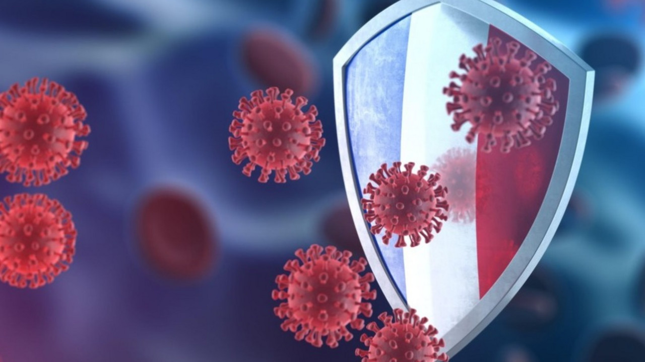 korona virus