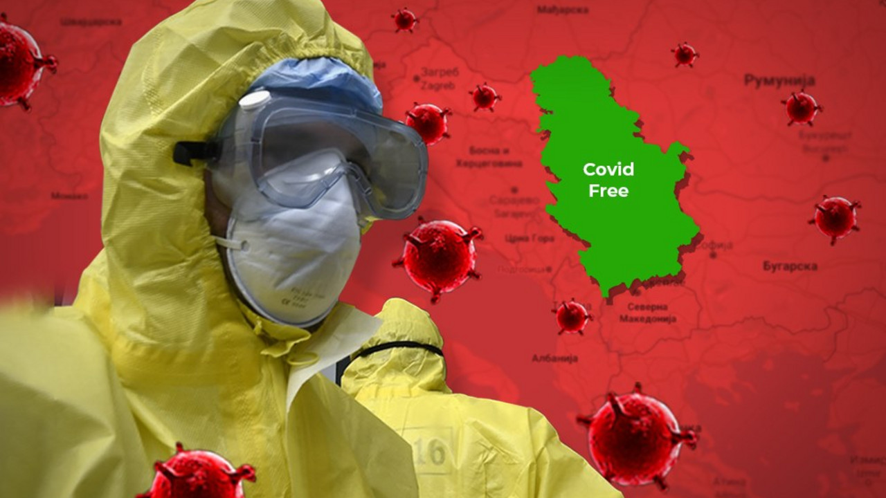 korona virus