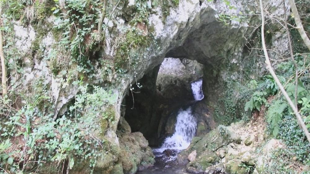 reka Panjica